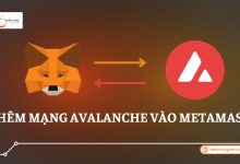 them-mang-avalanche-vao-metamask