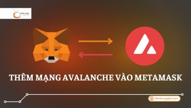 them-mang-avalanche-vao-metamask